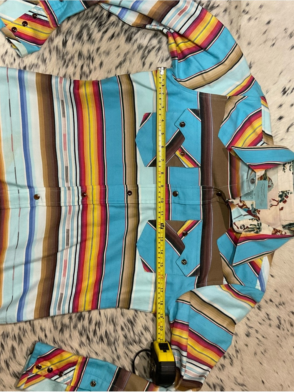 Tasha Polizzi Turquoise Multi-Stripe Western Button-Down Shirt - Picture 7 of 10
